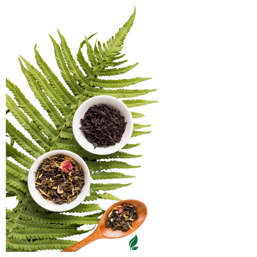 leaves and ayurvedic herbs